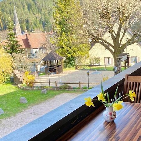 Ferienappartements-Ferienwohnung Steige Schramberg Dış mekan fotoğraf