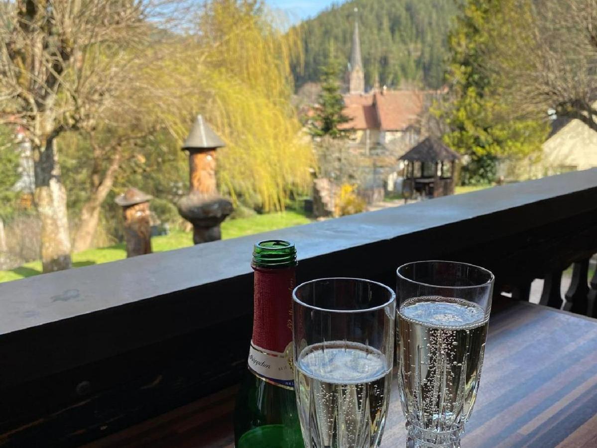Ferienappartements-Ferienwohnung Steige Schramberg Dış mekan fotoğraf