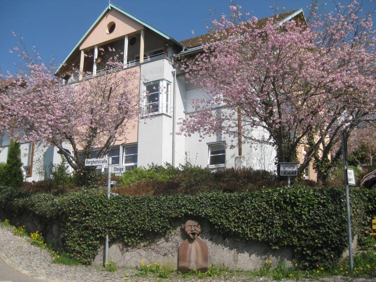 Ferienappartements-Ferienwohnung Steige Schramberg Dış mekan fotoğraf