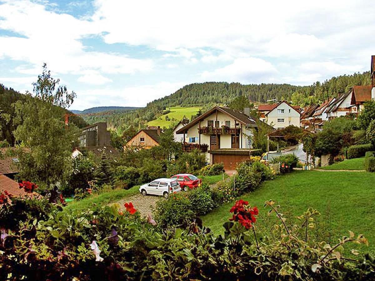 Ferienappartements-Ferienwohnung Steige Schramberg Dış mekan fotoğraf